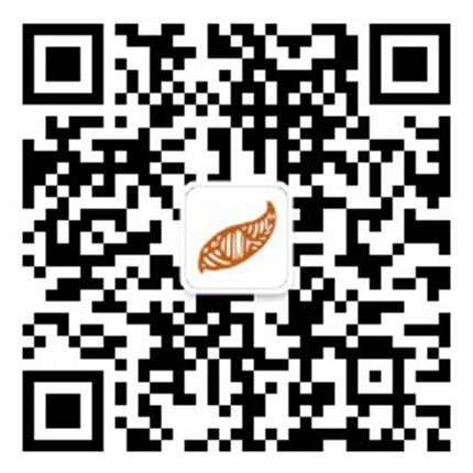 政務微信